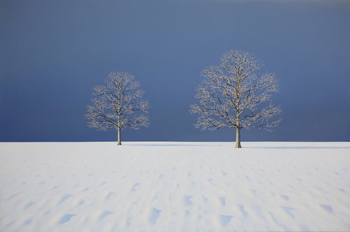 Oak Trees in the Snow by Nigel Wood