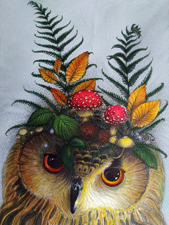 Forest owl