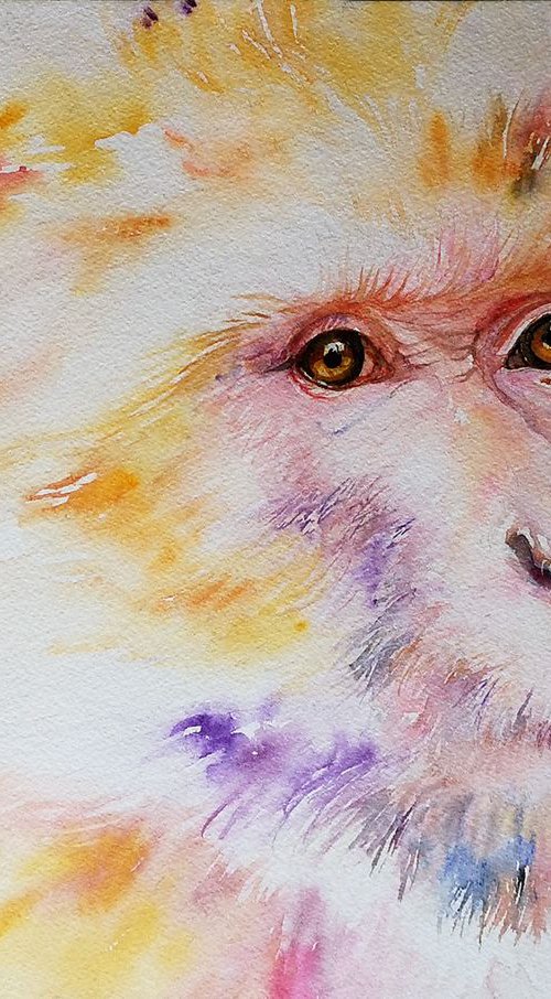 Geraldo the Macaque by Arti Chauhan