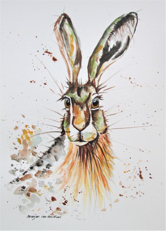 HARE IN FALL COLOURS