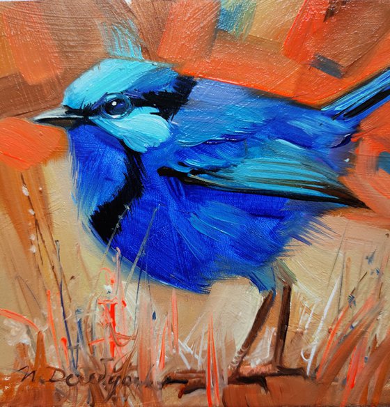 Fairywren bird painting, Small painting of bird in frame, Pocket bird art painting, Blue bird art 4x4