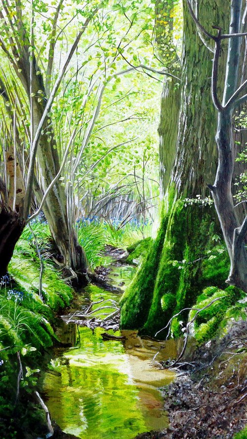 Springtime Brook by Paula Oakley