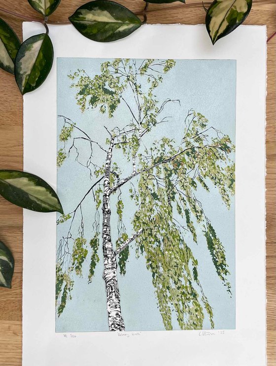 Dalmeny Birch linocut