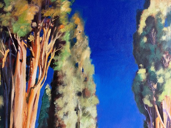 Montalcino 4