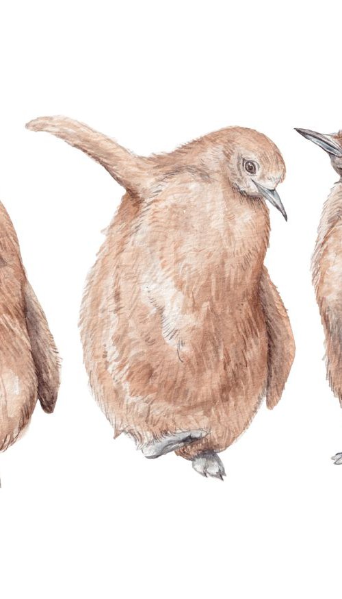 Penguin Chicks Watercolor by Lauren Rogoff