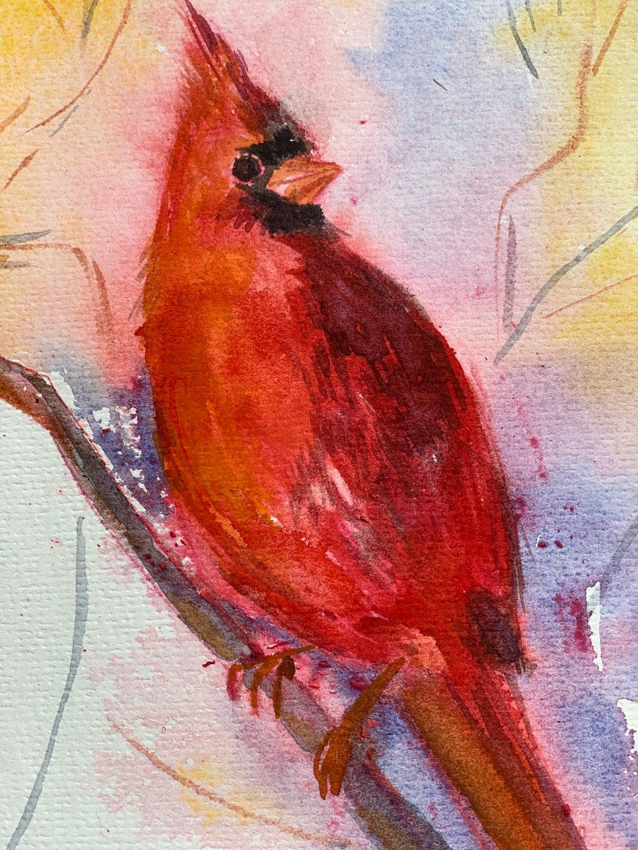 Impressionistic Watercolour , Cardinal Bird By Olga Pascari, 6 X 8, Artwork For Sale On Artfinder
