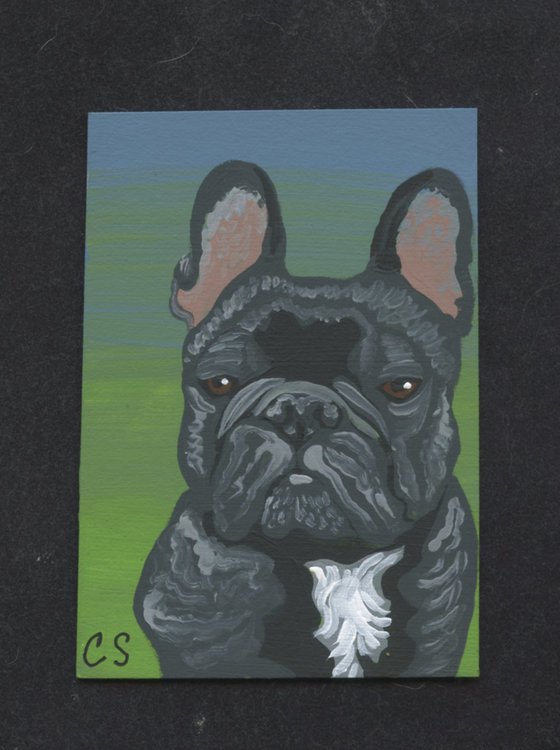 French Bulldog