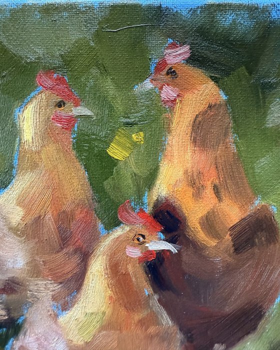 Garden Gossip Hens in the Yard
