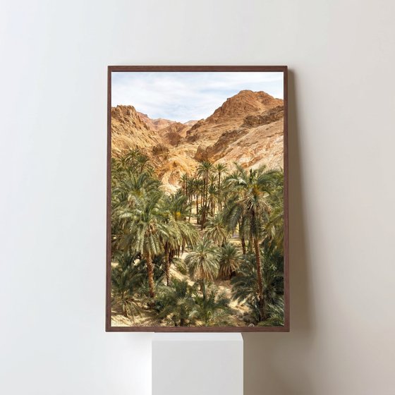Oasis