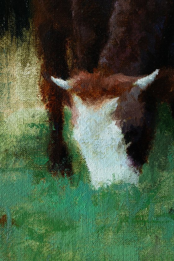 Evening Silence In The Forest