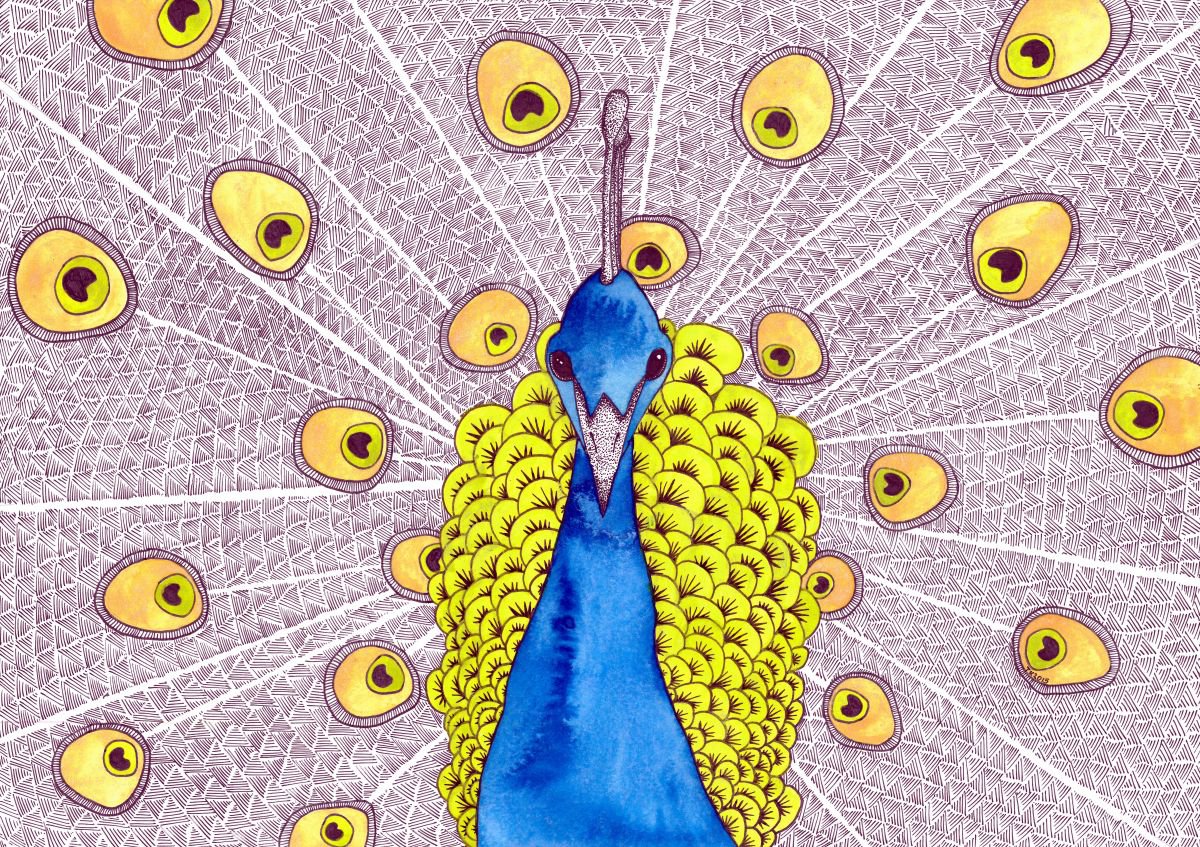 Peacock by Terri Kelleher