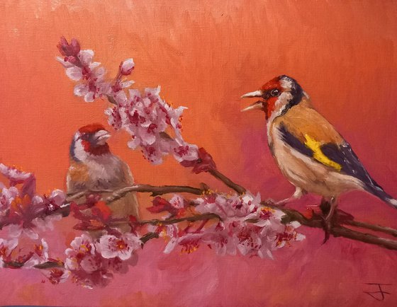 Conversations in the Blossom