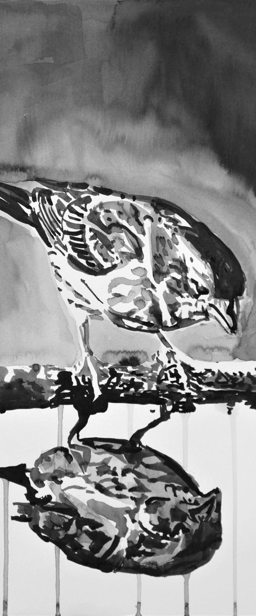 Sparrow / 42 x 29.7 cm by Alexandra Djokic