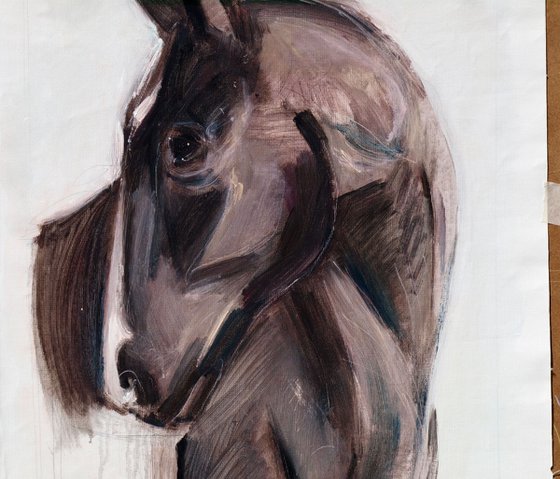 horse head study