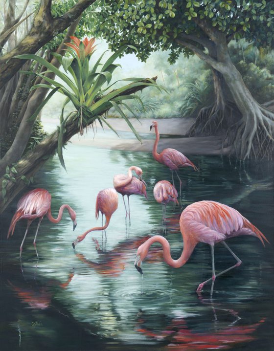 Flamingo Lagoon