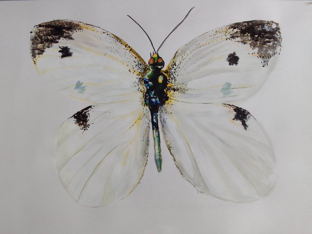 Photorealistic Animal Acrylic Painting By Soso Kumsiashvili, 33 X 24", Butterfly, Original Artwork