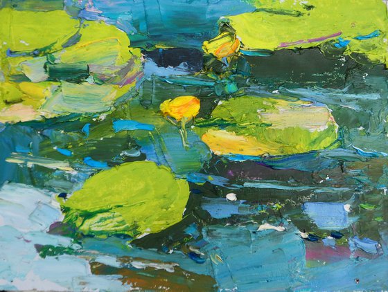 "  water lilies "