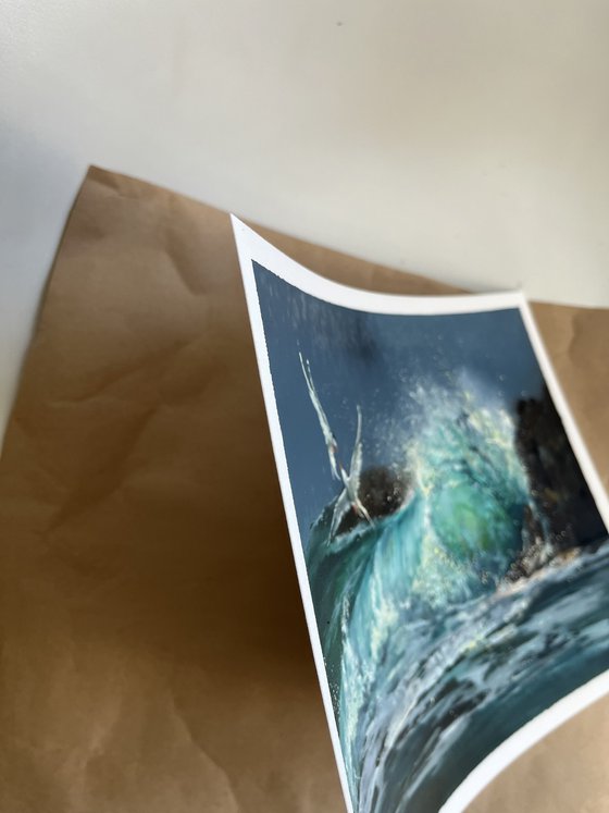 Sea Wings