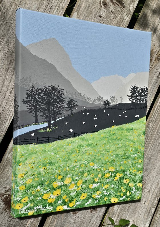 Patterdale Meadow