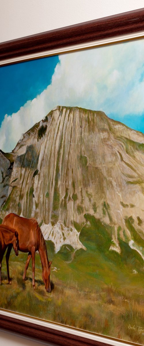 Wild Horses by Darko Topalski