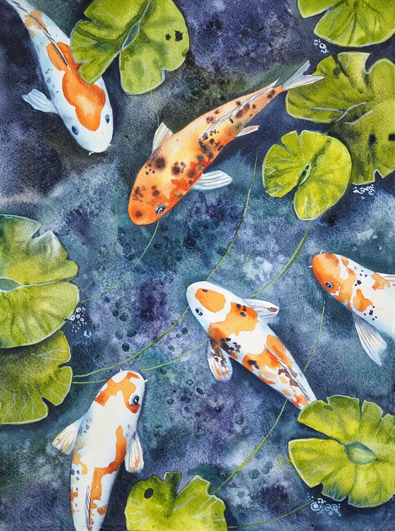 Koi fish