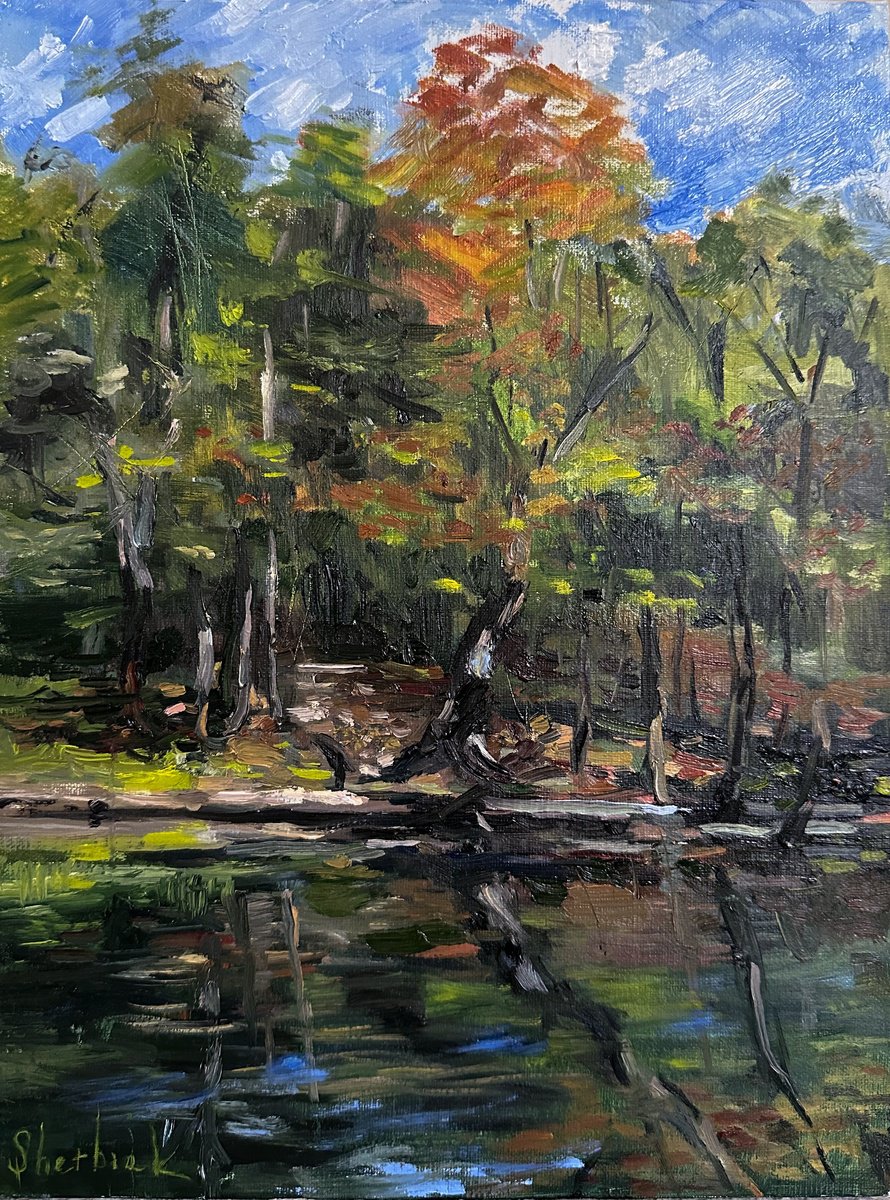 Calm Morning By The Water By Irina Sherbiak, 9 X 12, Artwork For Sale On Artfinder