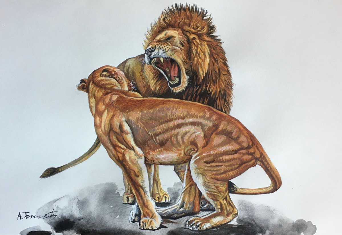 Photorealistic Animal Acrylic Painting By Alexander Titorenkov, 16 X 11, Lions 6, Original Artwork