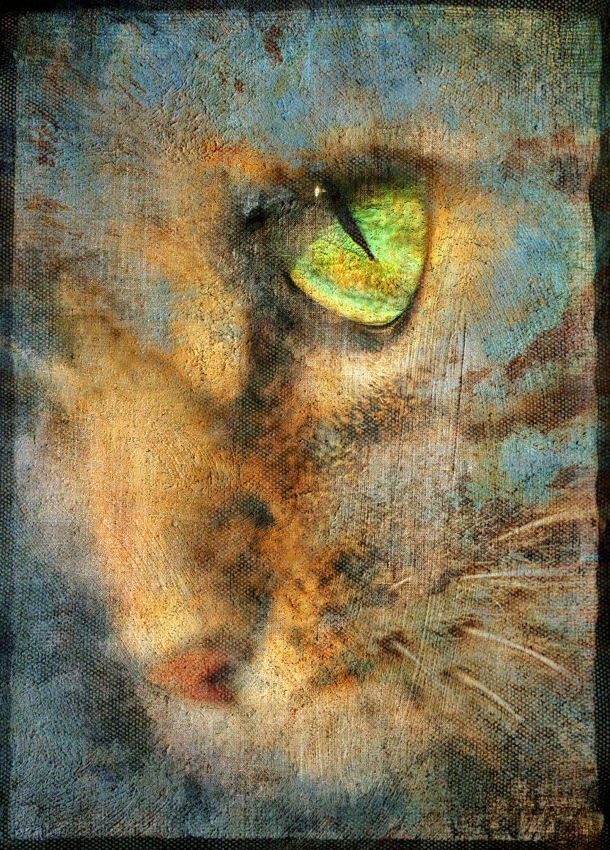 Cats eye by Valerix