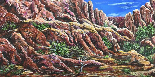 Red Rock by Donna Daniels