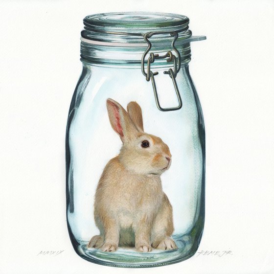 Rabbit in Jar