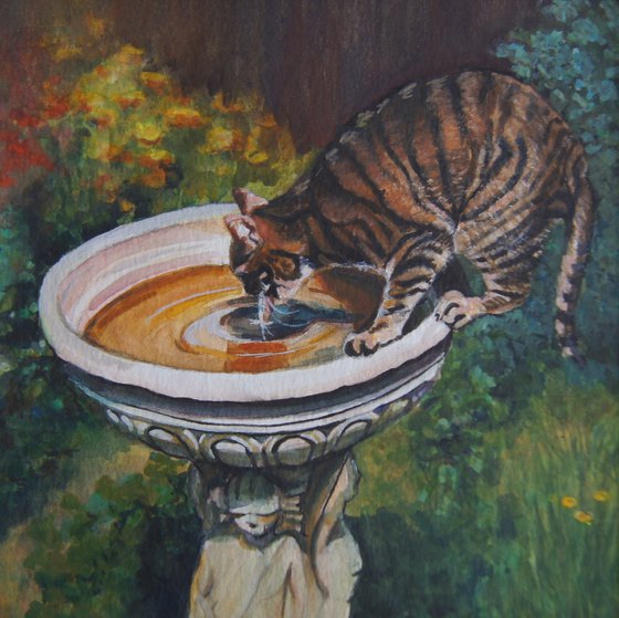 Cat drinking