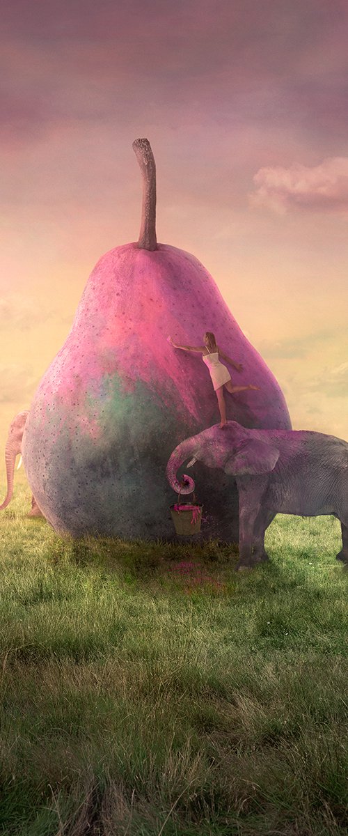 We like it Pink , limited edition of 7 by Nikolina Petolas