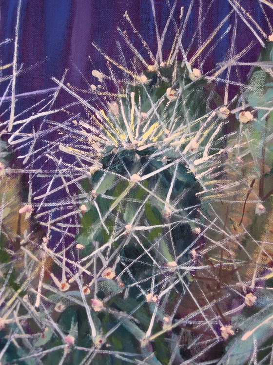 Cactus in Blue Pot