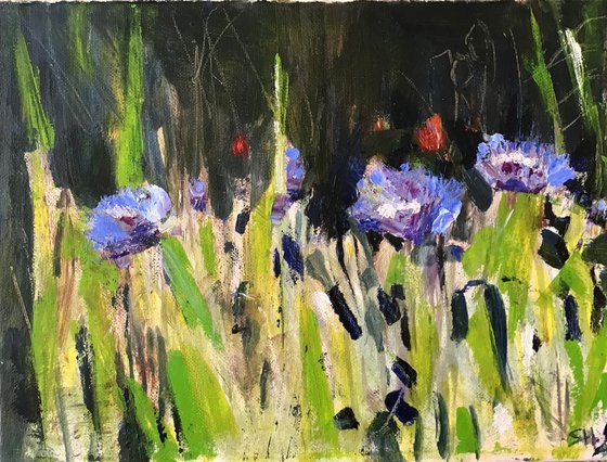 Cornflowers Study 3