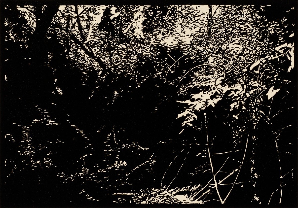 Impressionistic Landscape Linocut By David Conn, 22 X 15, Fox Hollow, Original Artwork