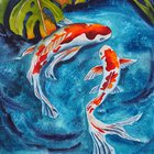 Koi