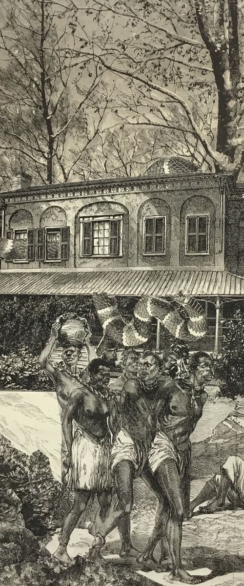 Slaves to a Snake by Tudor Evans