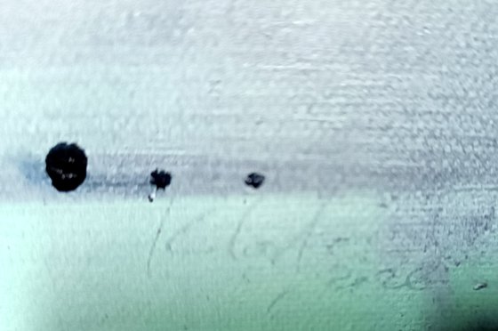 Moss eternity still life