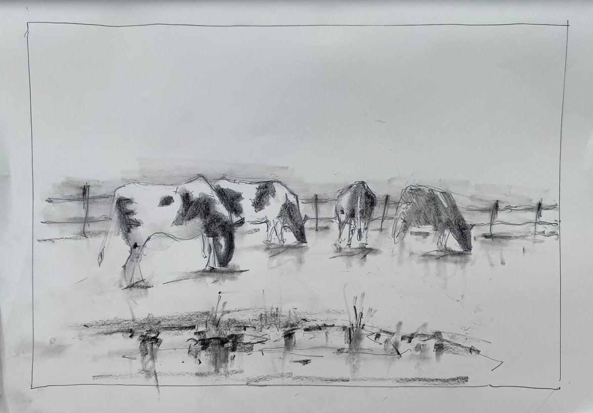 Cattle-. by Paul Mitchell