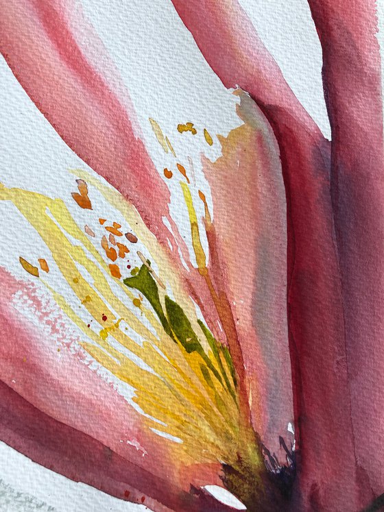 Integrity. Floral shades. A series of abstract original watercolours.