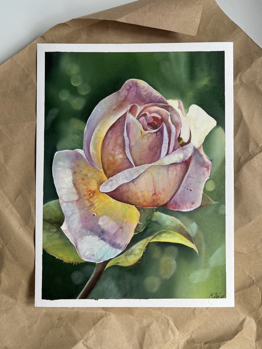 Photorealistic Oil Painting , Sunny Rose By Myroslava Denysyuk, 9 X 13, Artwork For Sale On Artfinder