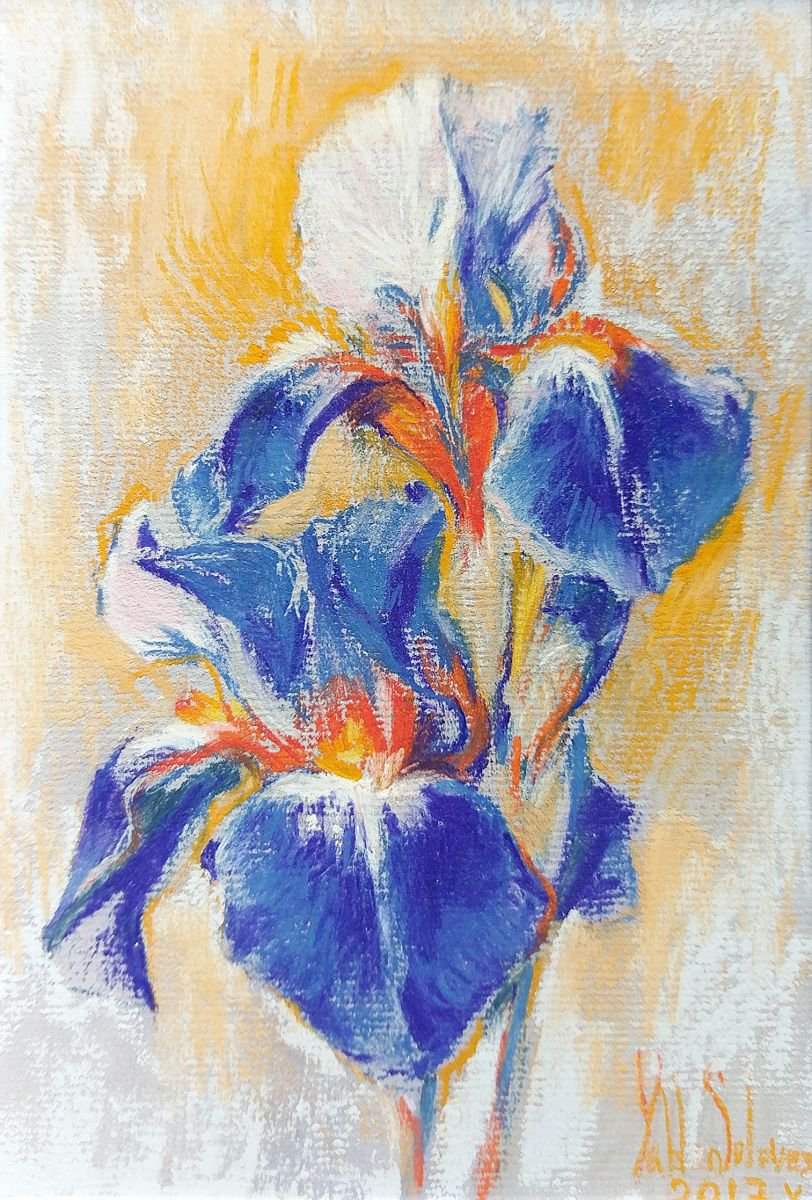 Flower power - Irises #3 by Daria Yablon-Soloviova