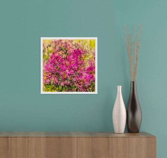 Abstract Flowers #8. Limited Edition 1/25 12x12 inch Photographic Print.