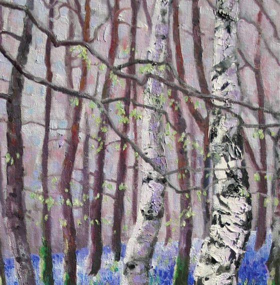 Bluebells and Birch Trees