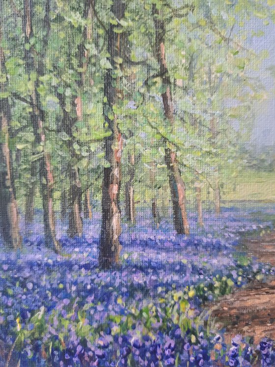 A Walk In The Bluebell Woods