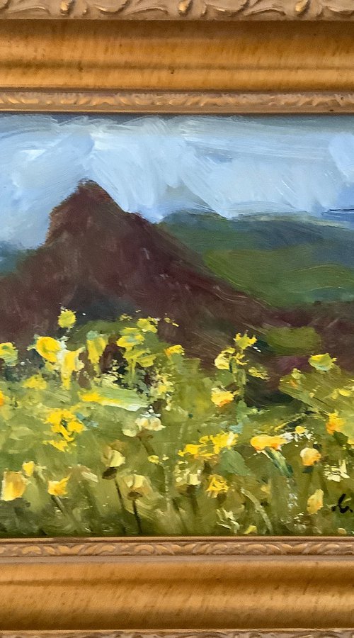 Spring by Lia Matevosyan Haselton