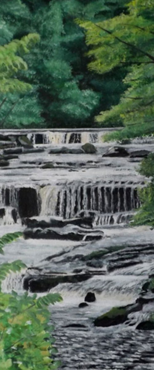 Aysgarth Falls by Lynne Harris