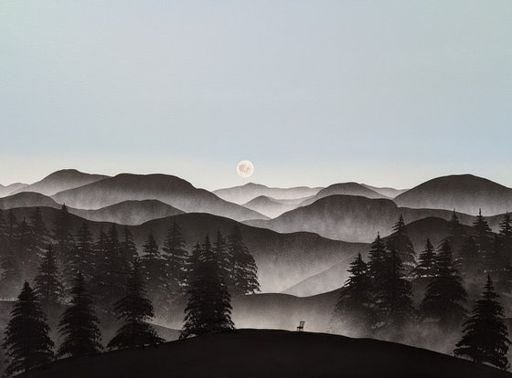 Where the Night Gently Yields