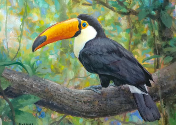 Toucan