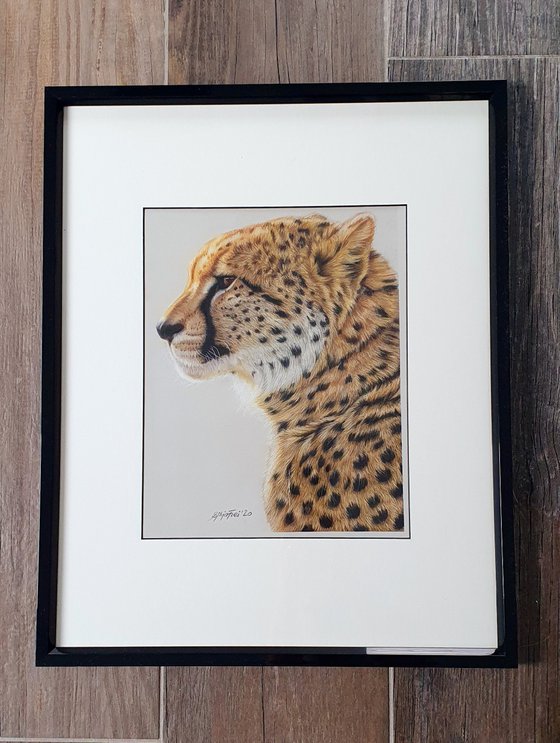 Sentinel of Serengeti - Cheetah portrait